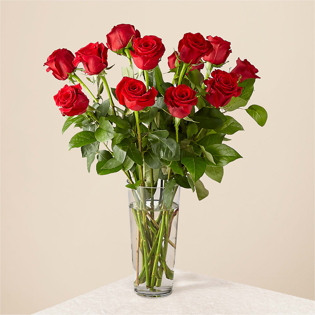 Long Stem Red Rose Bouquet – The Flower Company, Kamloops BC