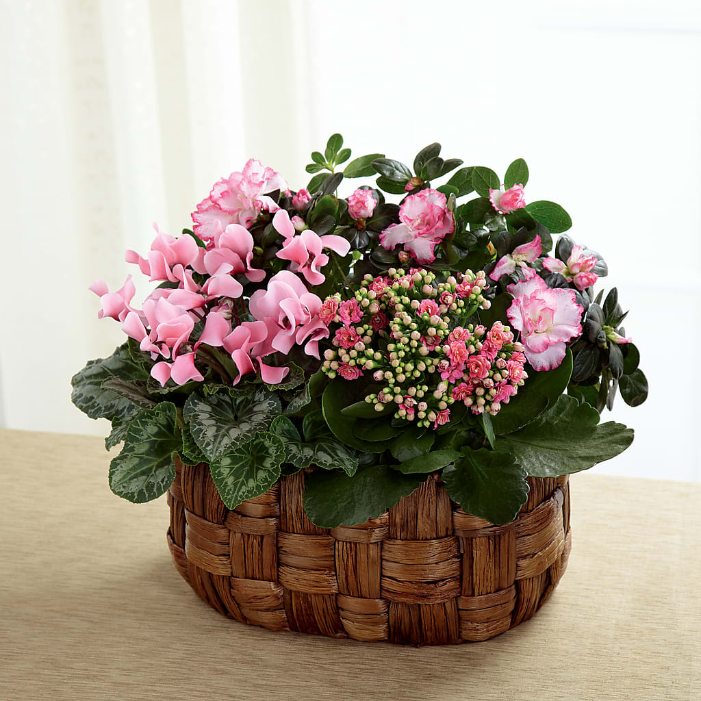 Pink Assortment – The Flower Company, Kamloops BC