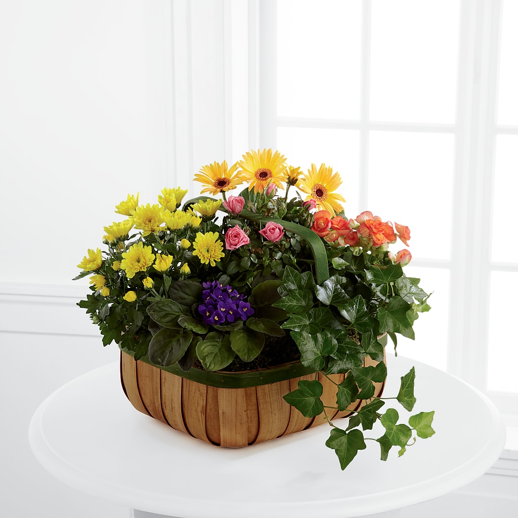 Gentle Blossoms Basket – The Flower Company, Kamloops BC