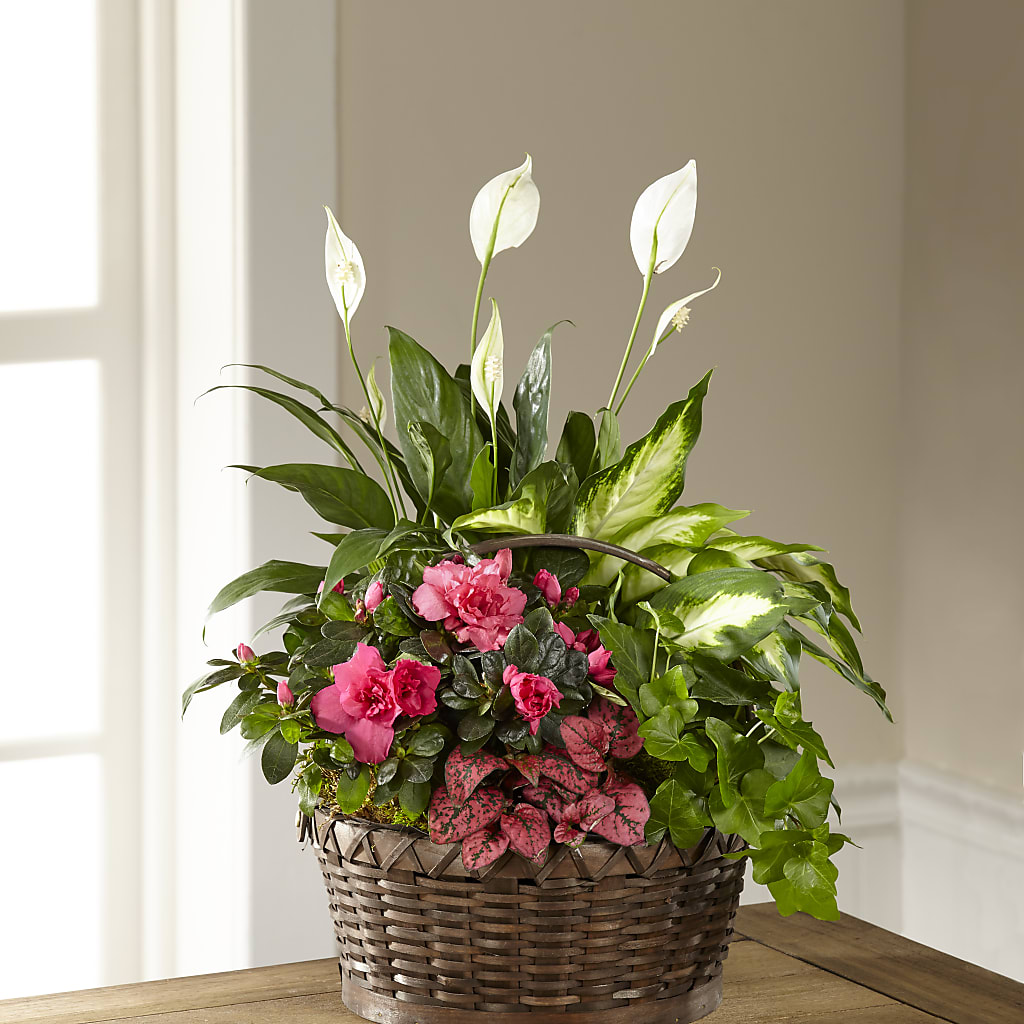 Dream in Pink Dishgarden – The Flower Company, Kamloops BC