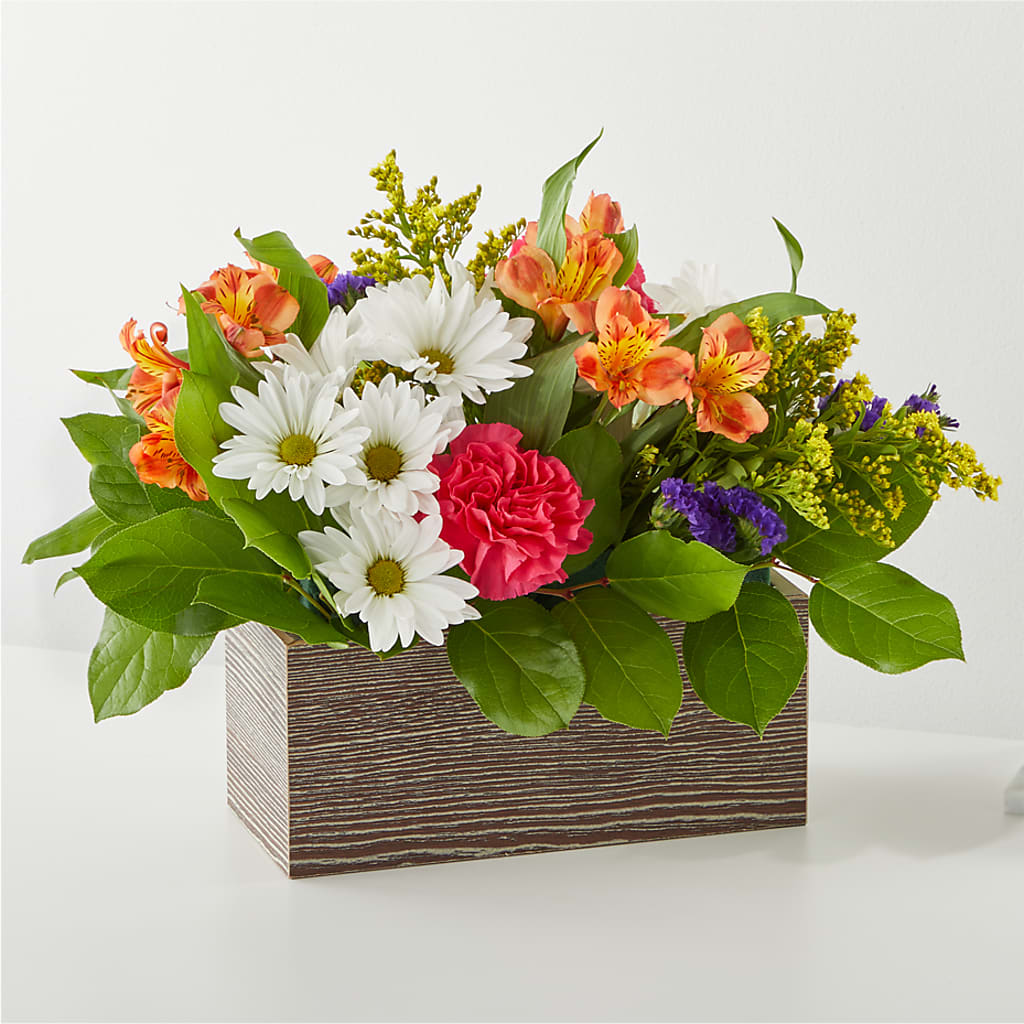 Oopsie Daisy Box Bouquet – The Flower Company, Kamloops BC