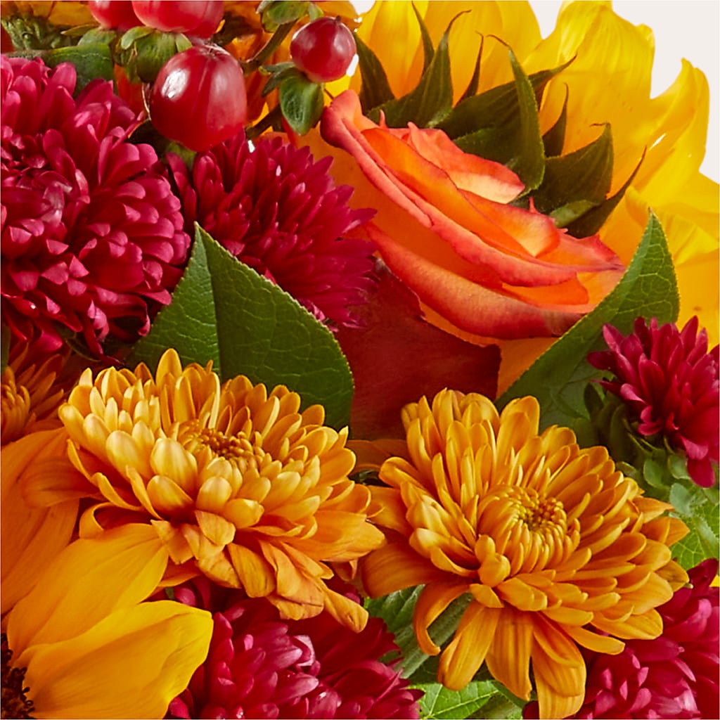 Sweater Season - A Florist Original – The Flower Company, Kamloops BC