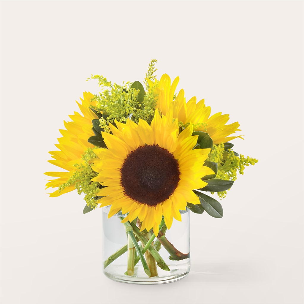 Beaming Sunflower Bouquet – The Flower Company, Kamloops BC