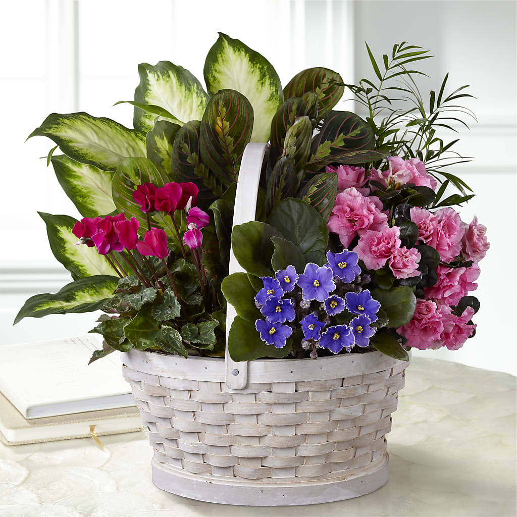 Peaceful Garden Planter – The Flower Company, Kamloops BC