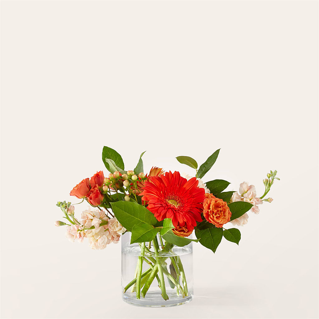 Paloma Please Bouquet – The Flower Company, Kamloops BC