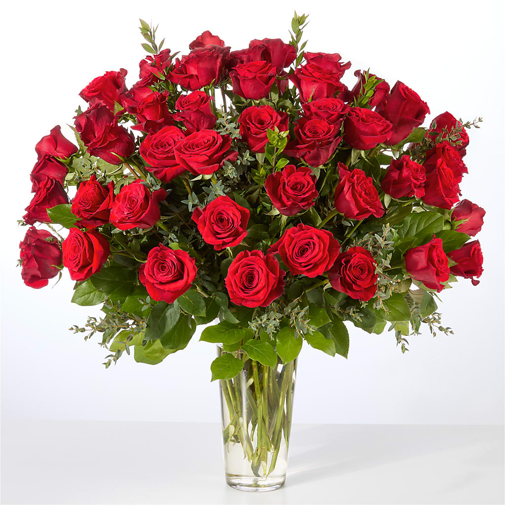 Forever Yours Fifty Stem Red Rose Bouquet – The Flower Company, Kamloops BC