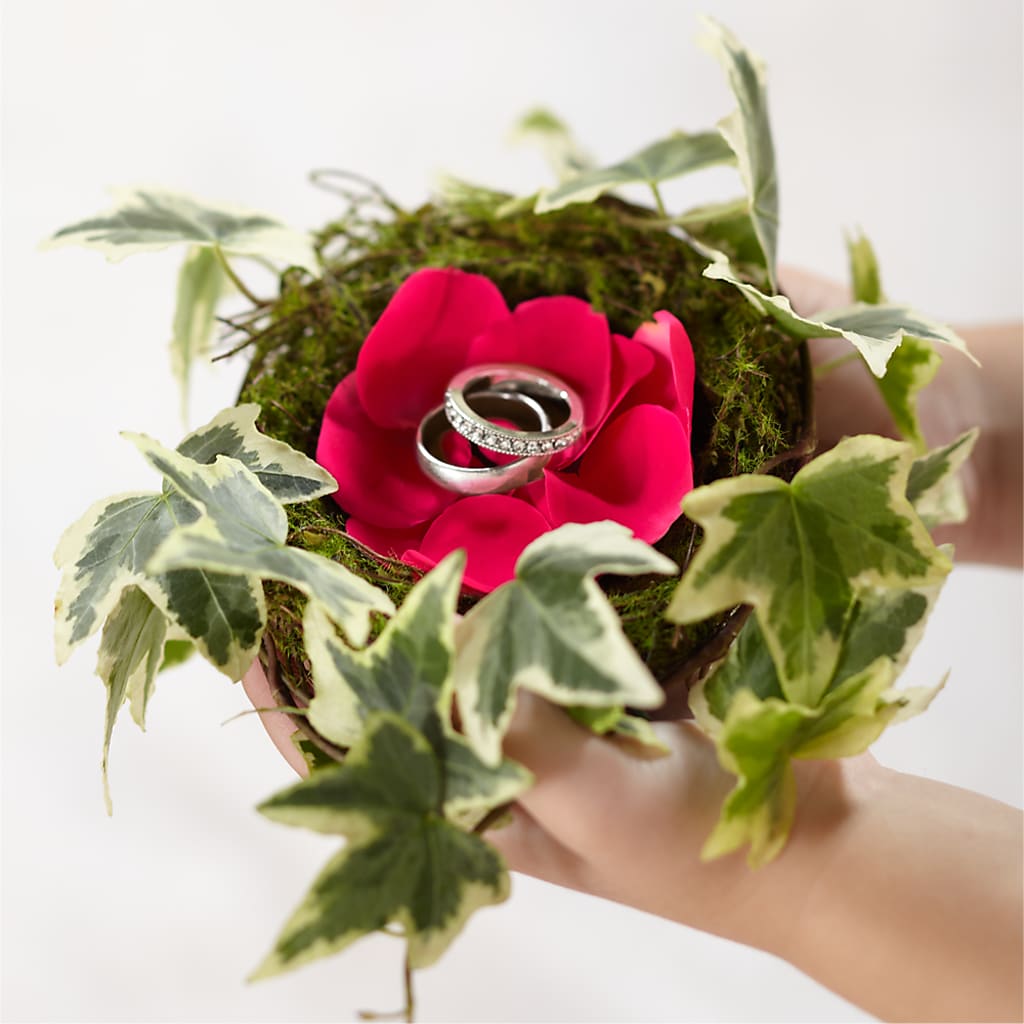Lila Rose Ring Nest – The Flower Company, Kamloops BC