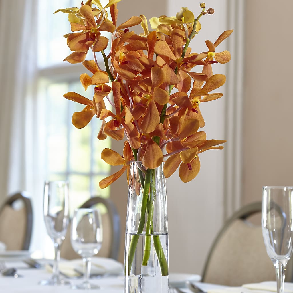 Orange Mokara Bud Vase – The Flower Company, Kamloops BC