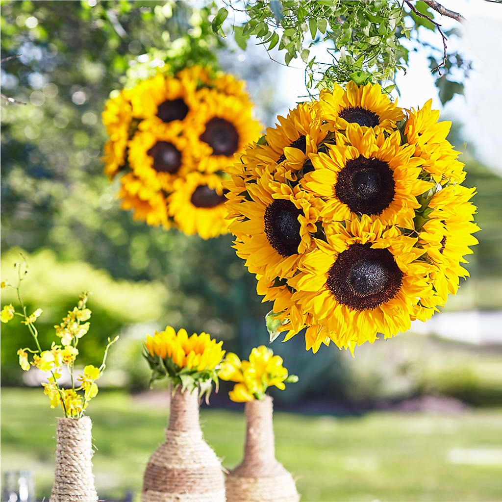 Sublime Garden Hanging Arrangement – The Flower Company, Kamloops BC