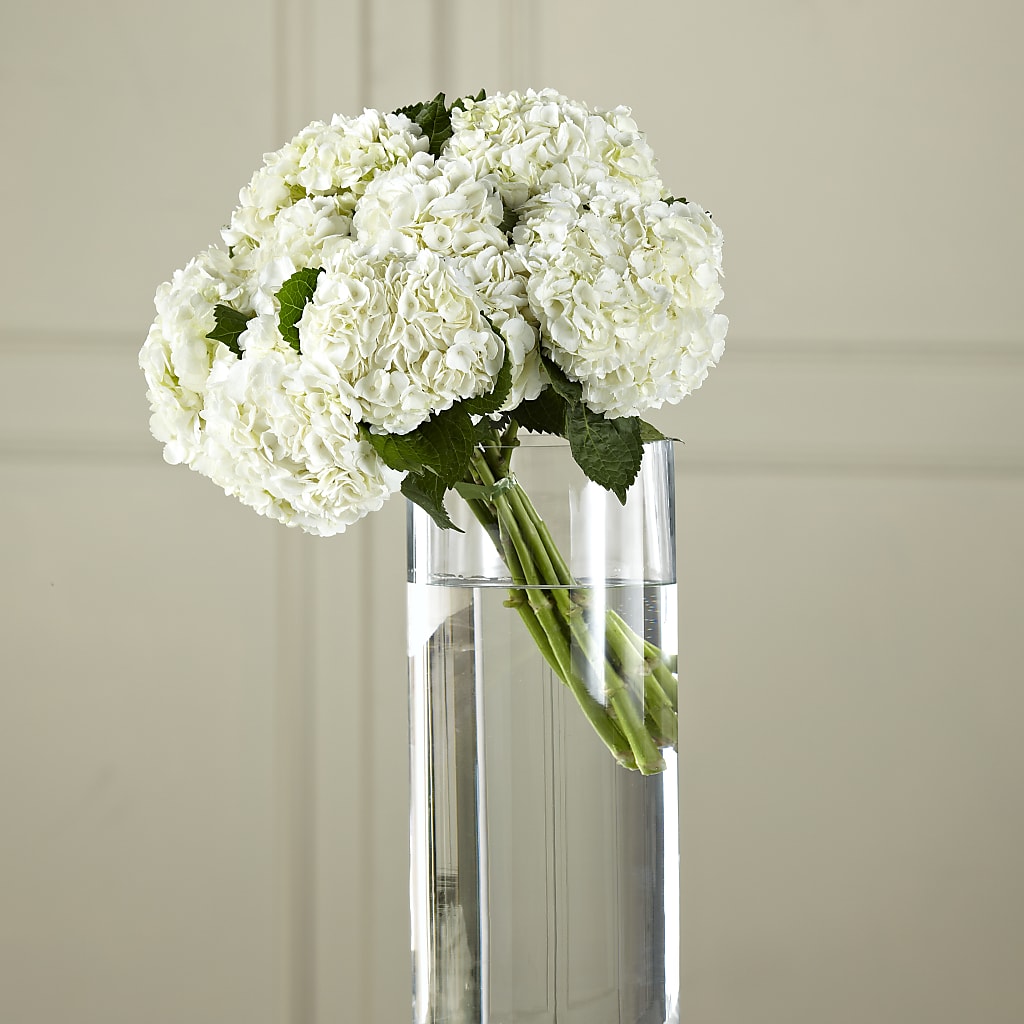 White Hydrangea Hand-Tied Bouquet – The Flower Company, Kamloops BC