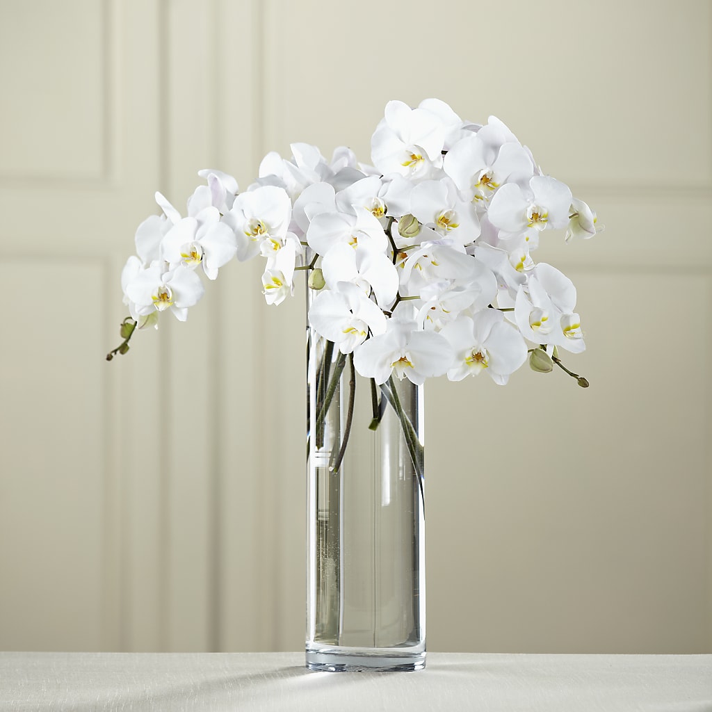 White Phalaenopsis Bouquet – The Flower Company, Kamloops BC