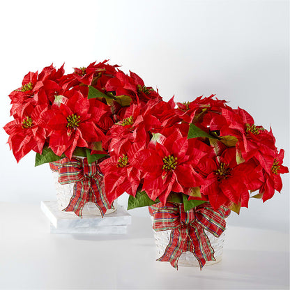 Happiest Holidays Poinsettia Bundle –  The Flower Company, Kamloops BC