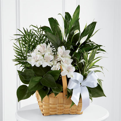 Peace & Serenity Dishgarden –  The Flower Company, Kamloops BC