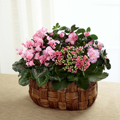 Pink Assortment –  The Flower Company, Kamloops BC