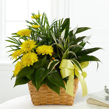 Loving Light Dishgarden –  The Flower Company, Kamloops BC