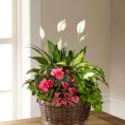 Dream in Pink Dishgarden –  The Flower Company, Kamloops BC