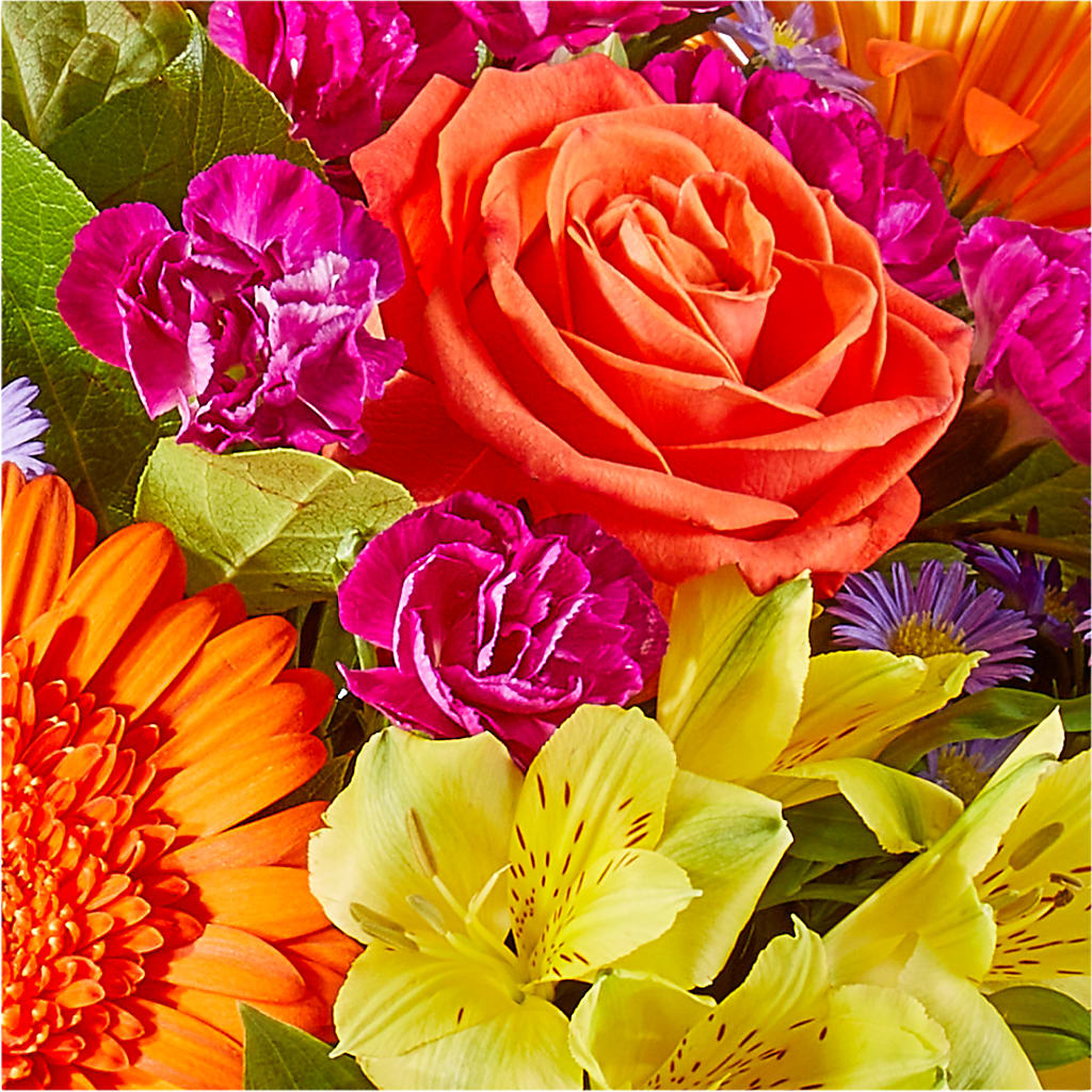 Tricks & Treats Pumpkin –  The Flower Company, Kamloops BC