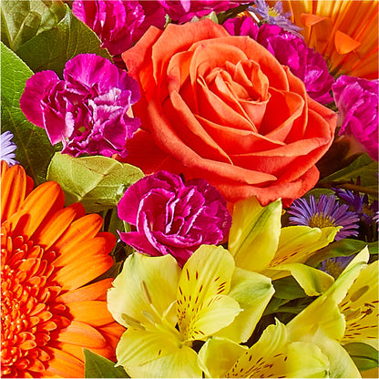 Tricks & Treats Pumpkin –  The Flower Company, Kamloops BC