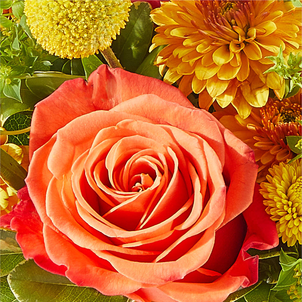 Gourdgeous Pumpkin –  The Flower Company, Kamloops BC