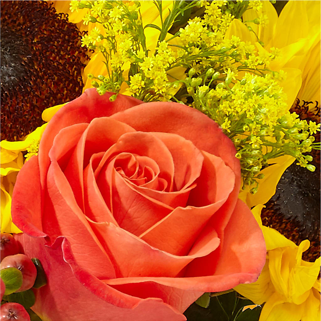 Pick of the Patch Pumpkin Bouquet –  The Flower Company, Kamloops BC
