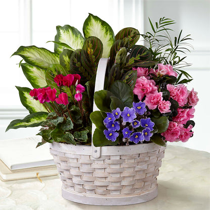 Peaceful Garden Planter –  The Flower Company, Kamloops BC