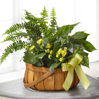 Always Dear Dishgarden –  The Flower Company, Kamloops BC