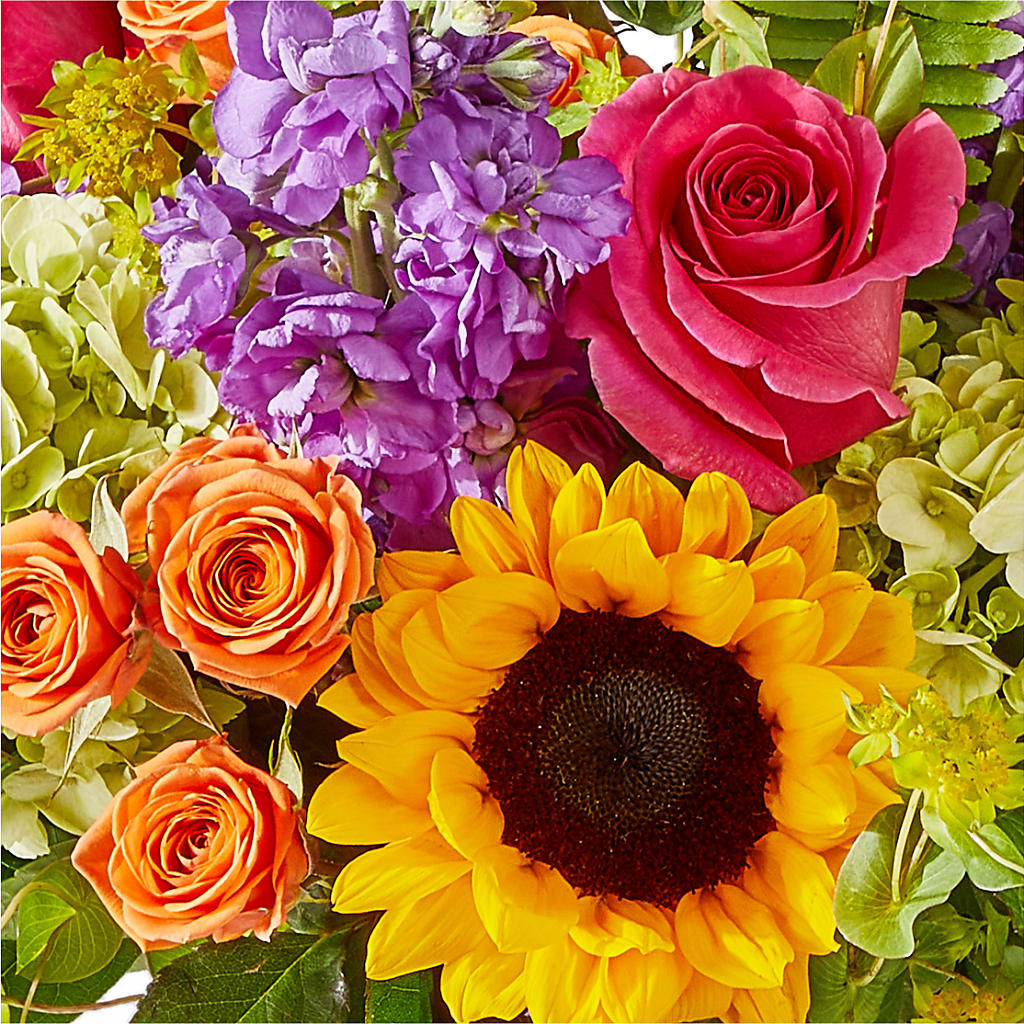 Vibrant Greetings Bouquet –  The Flower Company, Kamloops BC
