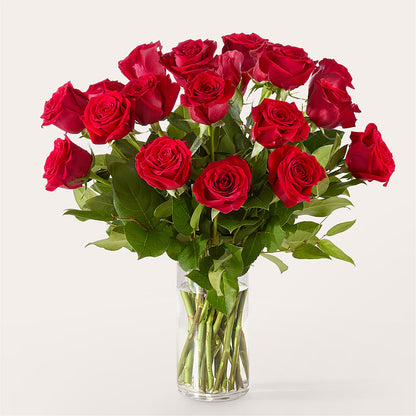 The One Red Rose Bouquet –  The Flower Company, Kamloops BC