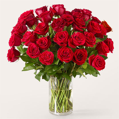 The One Red Rose Bouquet –  The Flower Company, Kamloops BC