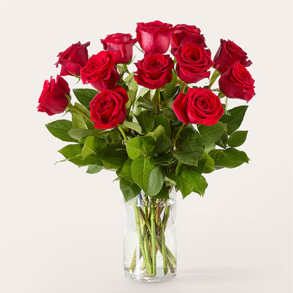The One Red Rose Bouquet –  The Flower Company, Kamloops BC