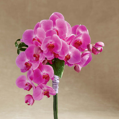 Glorious Bouquet –  The Flower Company, Kamloops BC