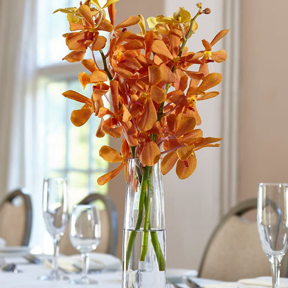 Orange Mokara Bud Vase –  The Flower Company, Kamloops BC