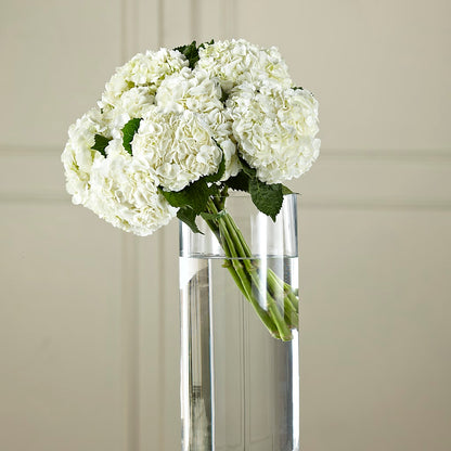 White Hydrangea Hand-Tied Bouquet –  The Flower Company, Kamloops BC