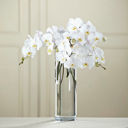 White Phalaenopsis Bouquet –  The Flower Company, Kamloops BC