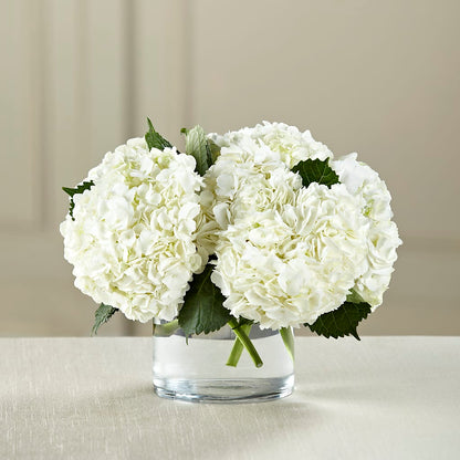 White Hydrangea Bouquet –  The Flower Company, Kamloops BC